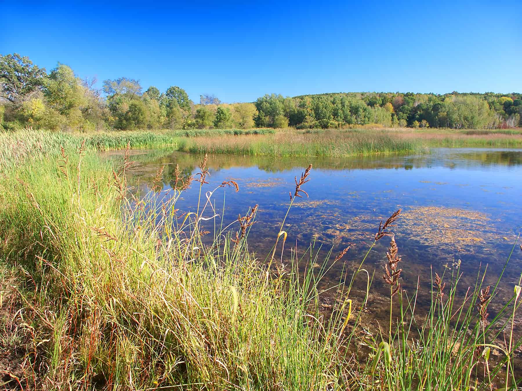 Kettle Moraine State Forest Wisconsin Midwest Prairies