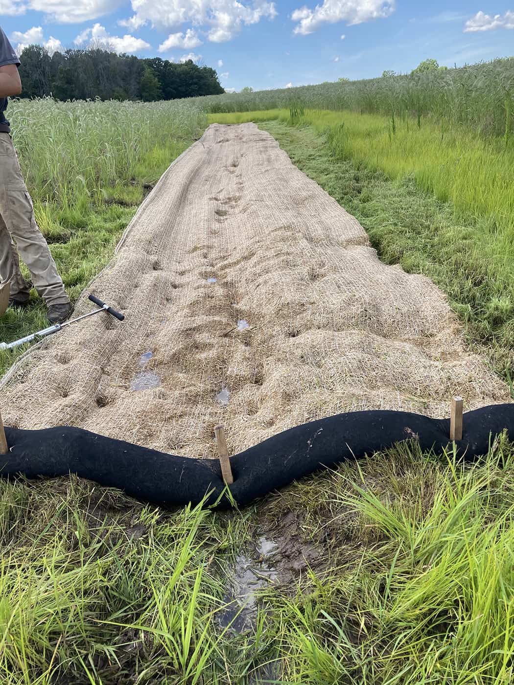 illustration bemis erosion control