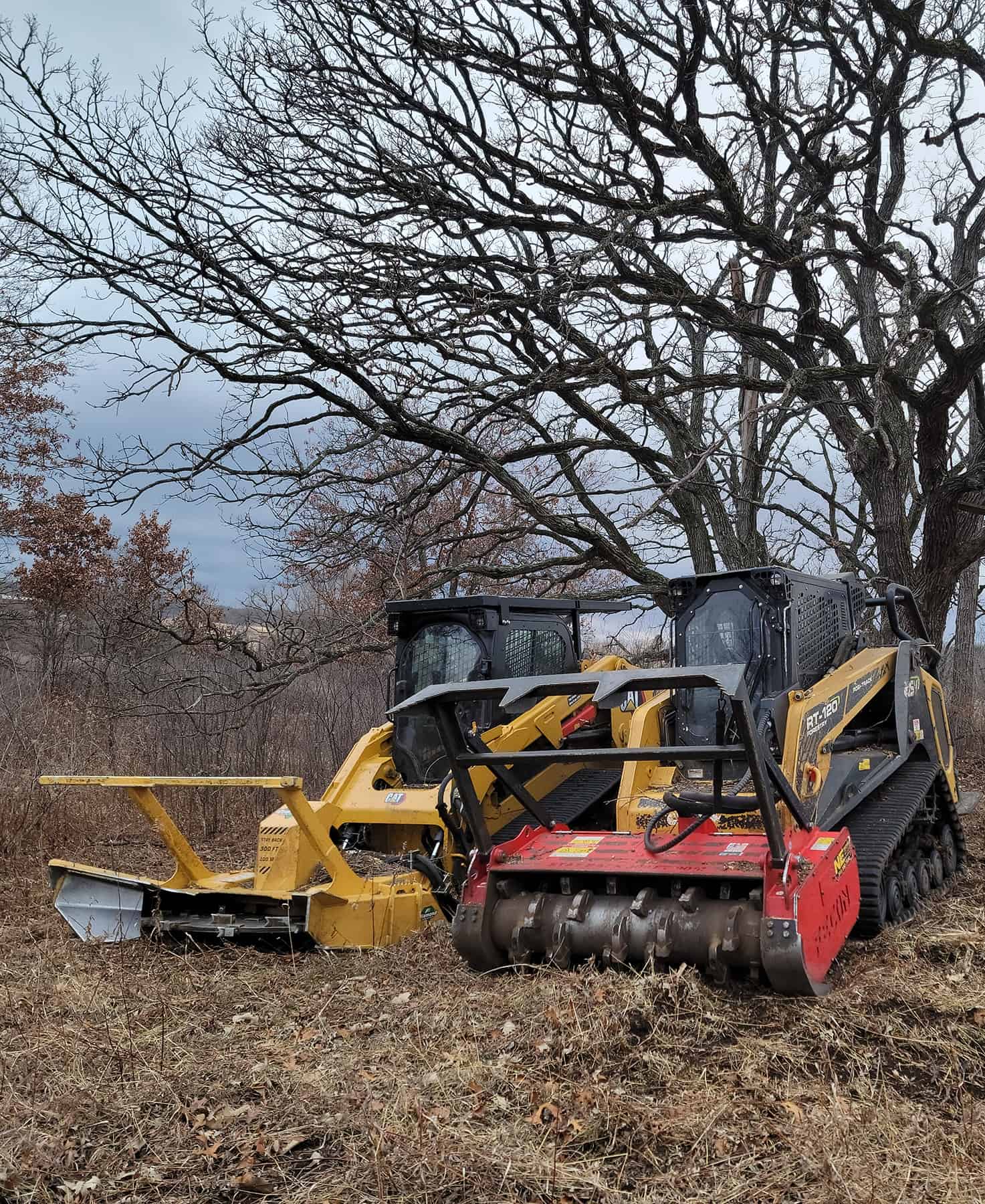 Forestry Mowing Remove unwanted species Mowing forests