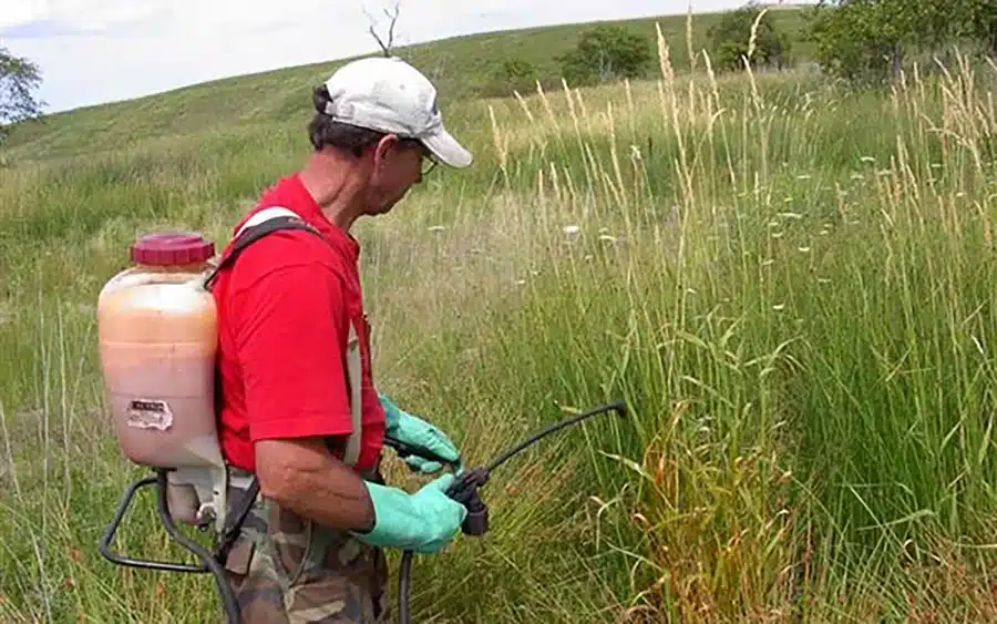 hand spraying herbicide application wisconsin