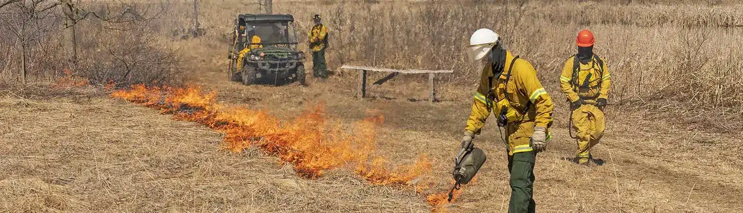 controlled burning in a field